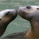 Image for article titled Do Antidepressants Really Ruin Your Love Life?